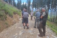 Teilnehmer eines Bergwaldseminar stehen mit Förster auf einem Forstweg und informieren sich über die Bewirtschaftung von Wäldern