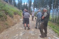 Teilnehmer eines Bergwaldseminar stehen mit Förster auf einem Forstweg und informieren sich über die Bewirtschaftung von Wäldern