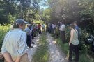 Mehrere Personen auf einem Waldweg